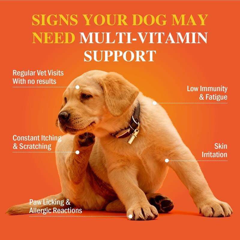 Enhealthy Probiotics Dog Soft Chews Variety Pack 8-In-1 12-In-1 Multivitamins & Calming Joint Gut Skin Heart & Relax Support Beef Flavor Tiktokshop Blackfriday