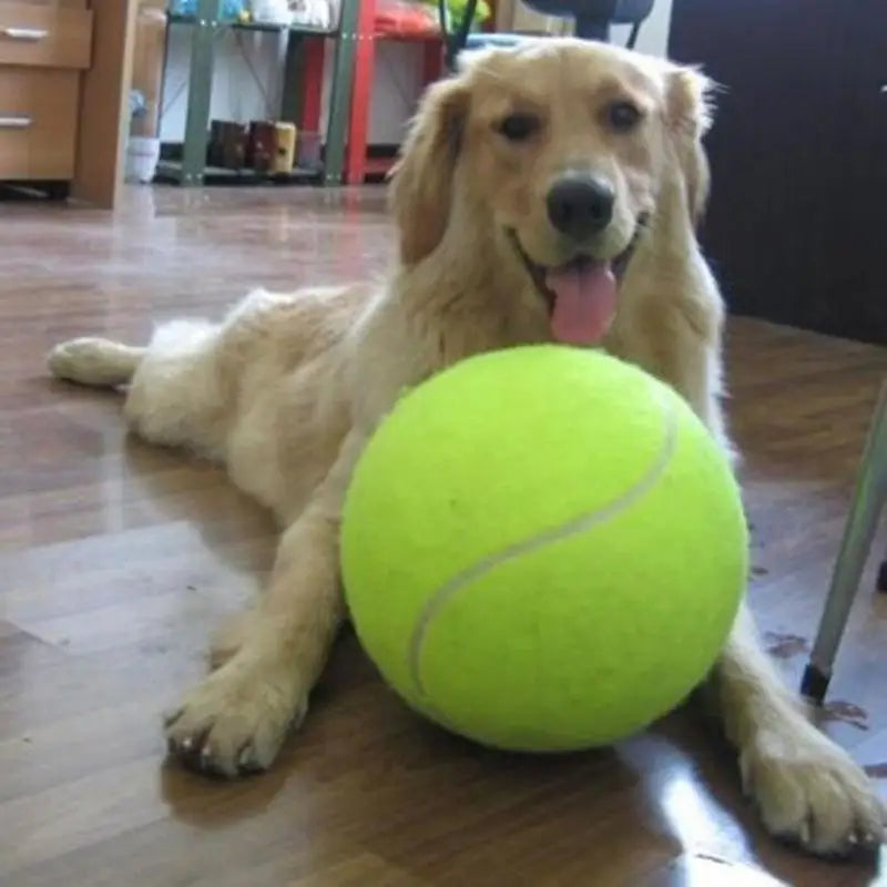 Mega Jumbo Dog Tennis Ball - Interactive Chewing Toy for Endless Fun and Training