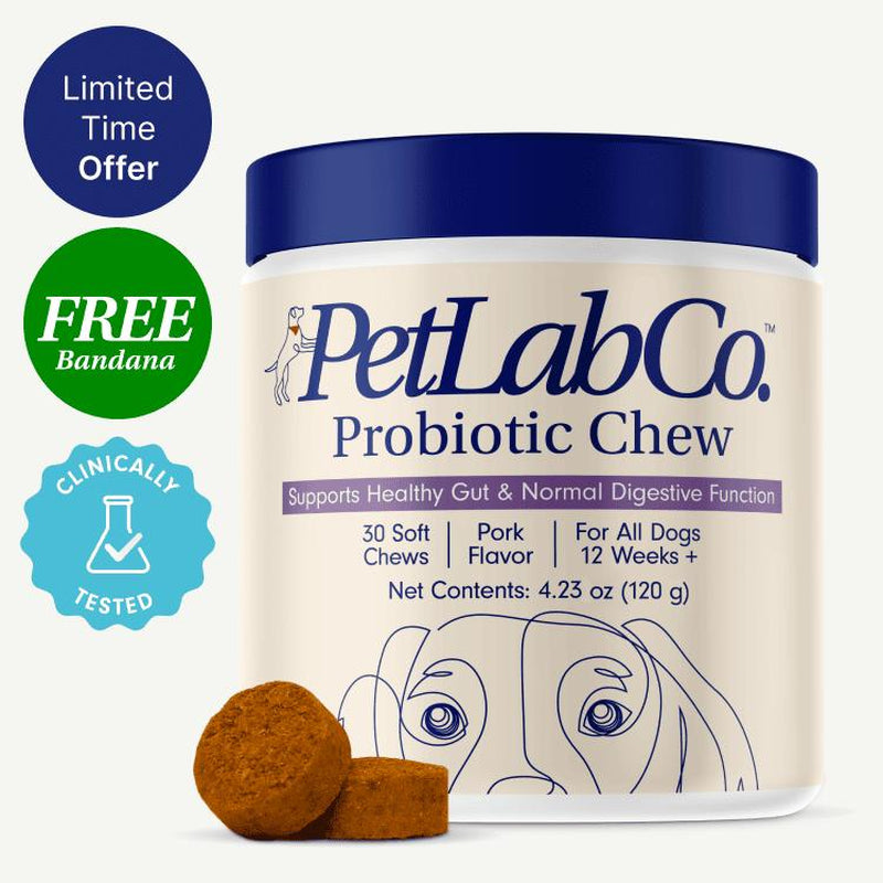 3X Petlab Co. Probiotics for Dogs Soft Chews for Seasonal Allergies, Gut, and Digestive Health. Vet-Reviewed, Premium-Quality Ingredients - Supplements